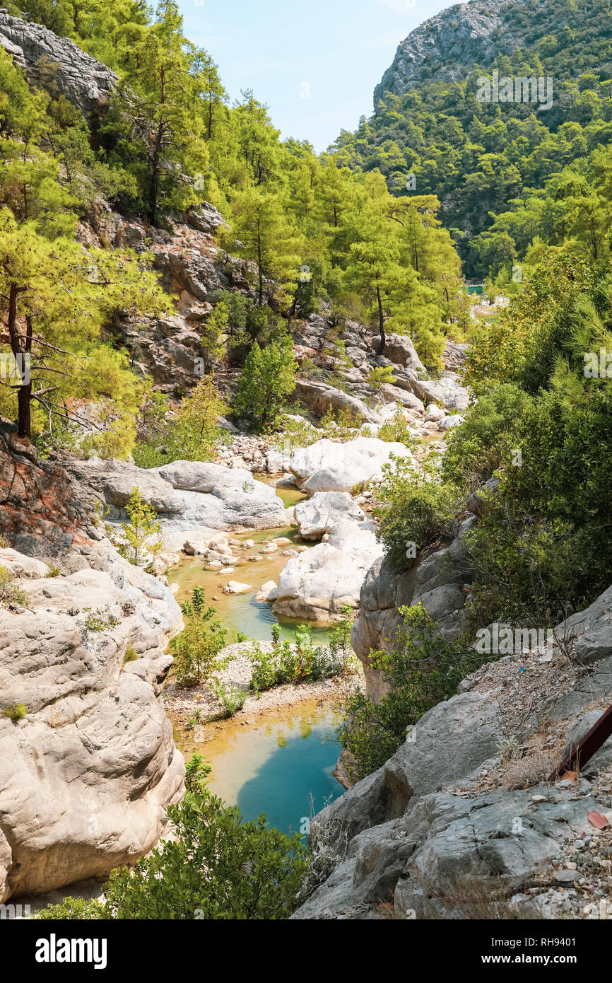 Piccolo fiume calmo che scorre tra grandi massi di pietra nella gola di montagna. Foto Stock