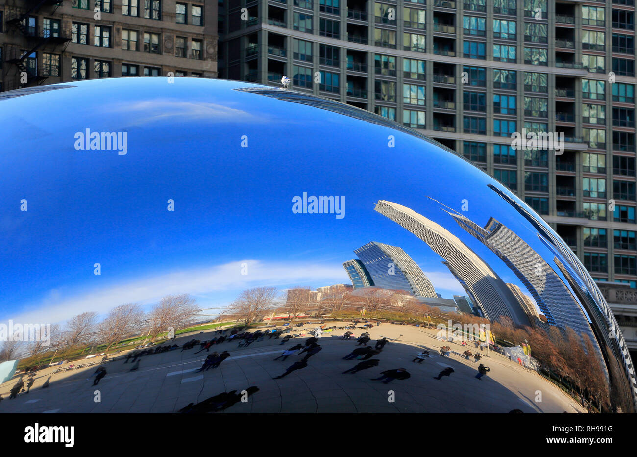 Una chiusa vista sullo skyline di Chicago riflessa su Anish Kapoor il Cloud Gate aka il bean in Millennium Park.Loop.Chicago.Illinois.USA Foto Stock