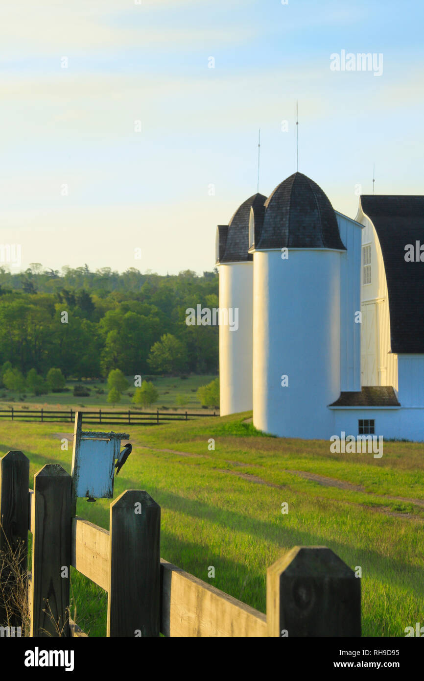 Bluebird, D. H. giorno fattoria, Sleeping Bear Dunes National Lakeshore, Impero, Michigan, Stati Uniti d'America Foto Stock