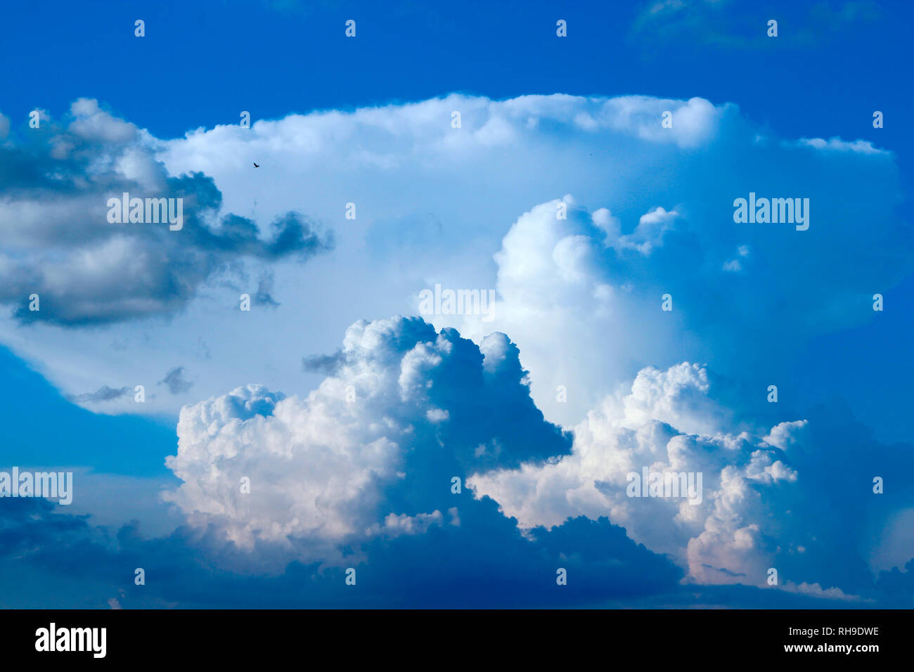 Bella nuvole bianche sul cielo blu sullo sfondo. Nuvole bianche sul cielo sconfinato. Il cielo blu con nuvole bianche. Paesaggio e cielo blu. Vista cielo. Celesti Foto Stock