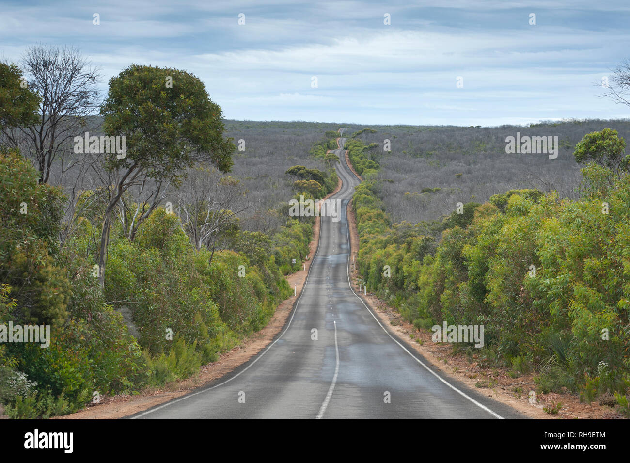 La macchia di strada per Admiral's Arch, Parco Nazionale di Flinders Chase, Kangaroo Island, South Australia, Australia Foto Stock