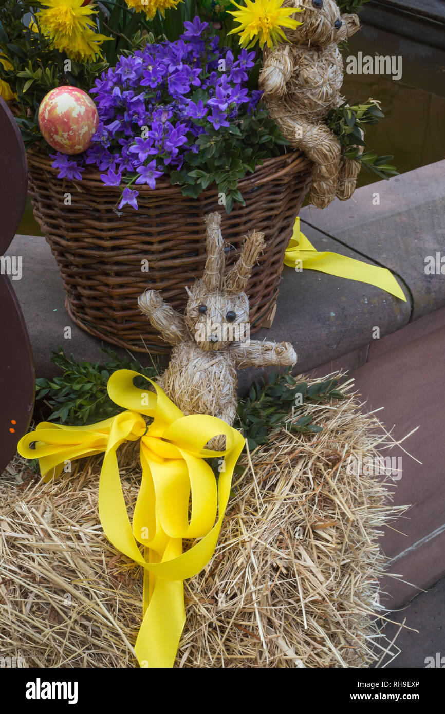 Coniglio di Pasqua Foto Stock