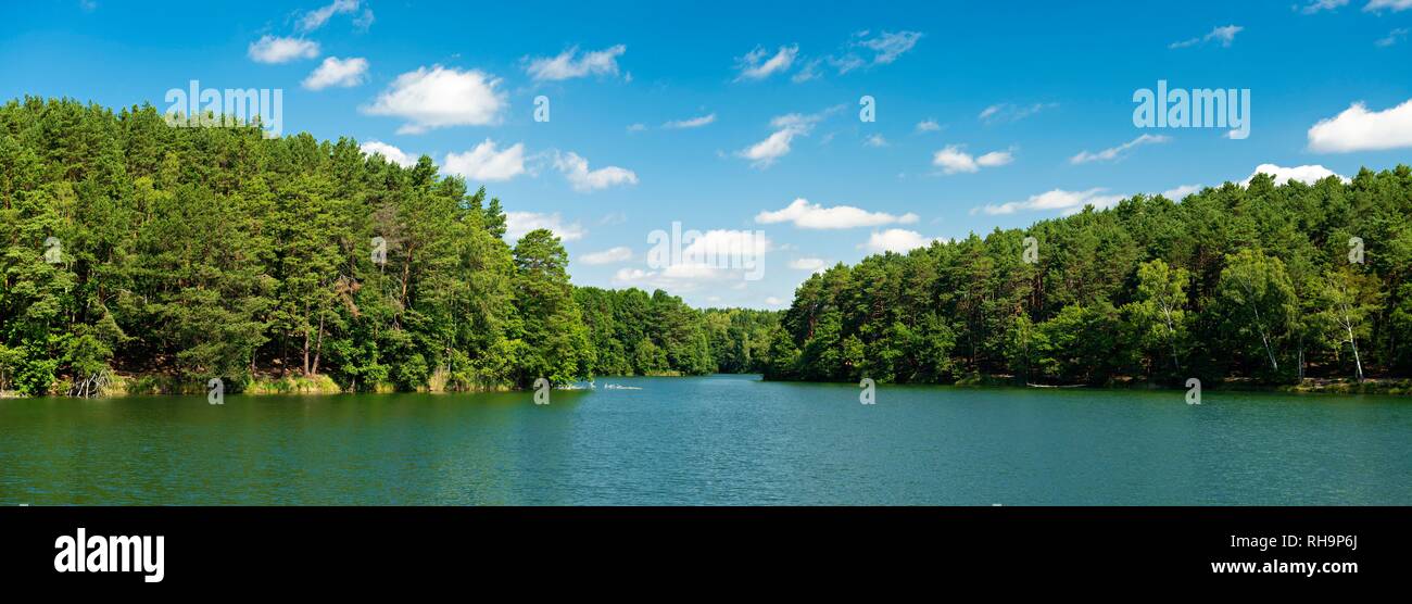 Lago Schrevenzsee, Panorama, Schlaubetal natura park Park, Brandeburgo, Germania Foto Stock