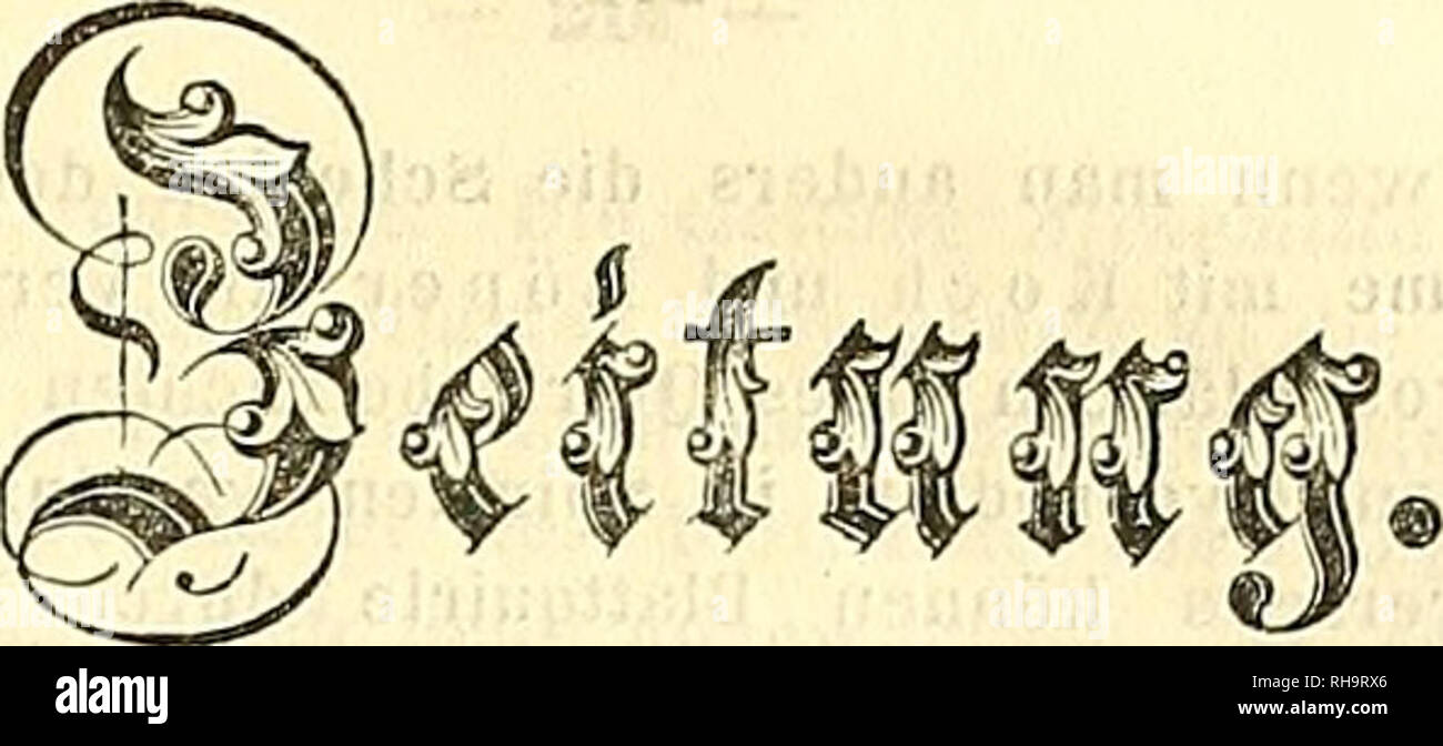 . Botanische Zeitung. Piante; piante. f. Jahrgang. pra 23. jgjßg 1849. 12. Stück. Enllfllt" oligo": Treviranus üb. d. quirltormigen Blätterstand, mit Berücksicht. einiger Arten unbeschriebenen v. .47- chemilla. - I"H.! S c hnizlein u. Frickhing er d. Veget. - Verhältn. der Jura - u. Keuperfiirra. a d. Flussgeb. d. Wör- . nitz u. Altmühl. - Comptes rcndus XXVII. n. 4-23. - S&amp;ininl.: Hanse n Pan d. Ilerzogth. Schleswig Holstein, u. Lauen- Burg. 1 cent. - Per". Non.: Schouw. - B£. Non. : Fruchtbildung v. v'äniUa plqnifoÜa. - 203 - MO UEBER DEN quirlfürmigen Blä'tterstand, mit Berücksicht Foto Stock