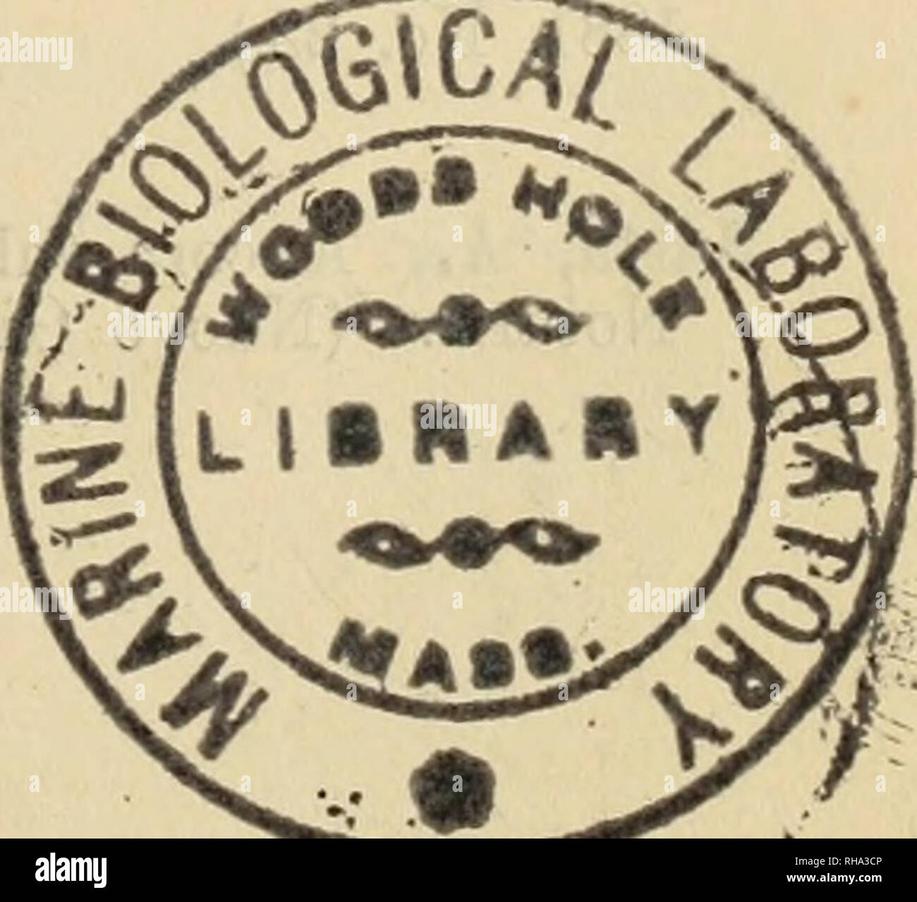 . Botanisches Zentralblatt; referierendes Organ für das Gesamtgebiet der Botanik. La botanica; Botanica. Landwirthschaftliche Botanik. 119 Morphologische Beschreibung des Weinstockes. Ueberblick über die Familie der Ampelideen mit ca. 250 Arten, die sich auf die drei generi Vitis, Leea und Pterisanthes vertheilen. Von diesen sind nur wenige cultivirt: V. vinifera L., V. Labrusca L., V. rotundifolia Michx., v. aestivalis Michx., v. cordifolia Torrey. Am verbreitetsten ist V. vinifera, welcher in etwa 1300 Spielarten in Europa cultivirt wird. Aufzählung der besten Rebensorten in Italien, Spanien, Frank Foto Stock