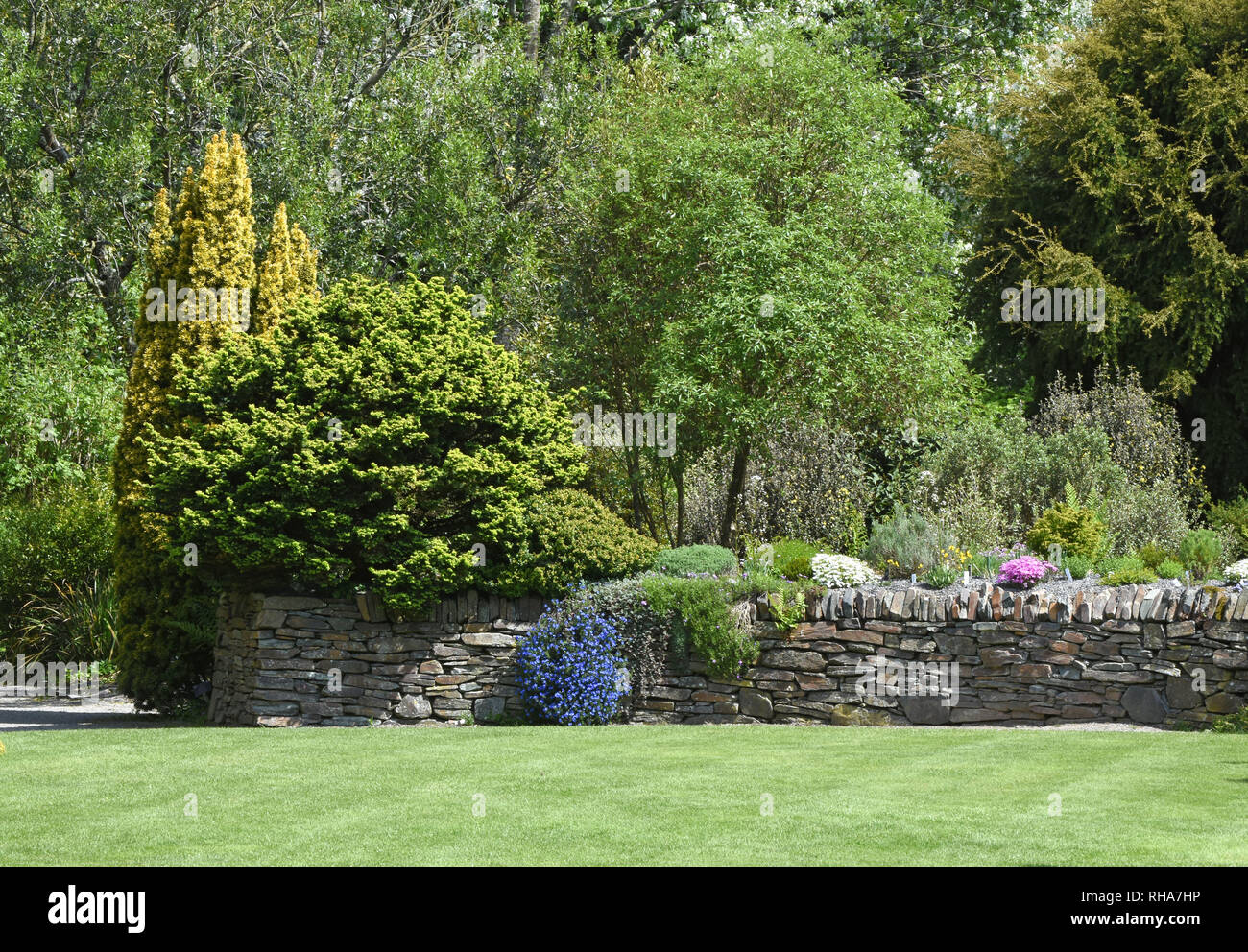 Un perfetto inglese paese con giardino curato prato circondato da frontiere, arbusti e alberi piccoli Foto Stock