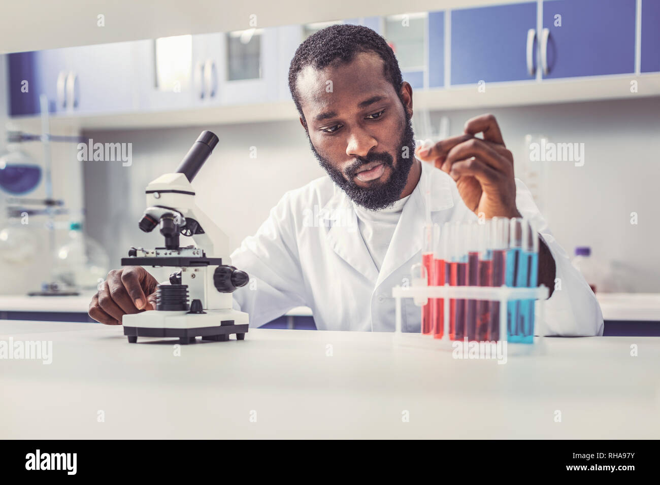 Barbuto biotechnologist giovani lavorando con tubi di vetro Foto Stock