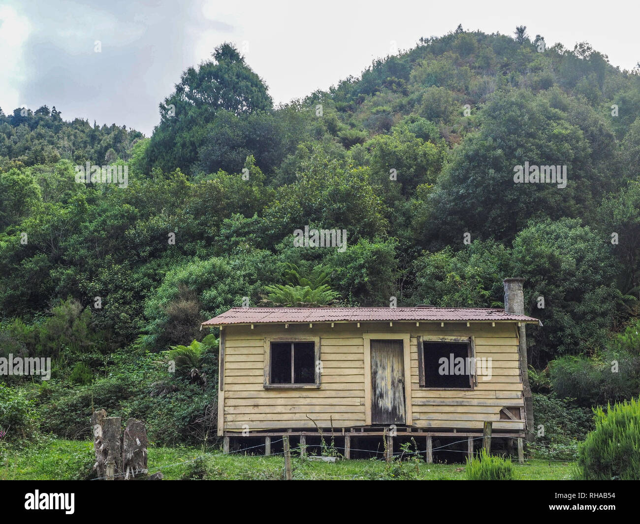 Casa abbandonata tra forest hills dalla strada di ghiaia. Elsdon Best visse in una casa a questo sito. Heipipi, Highway 38, Te Urewera, Nuova Zelanda Foto Stock