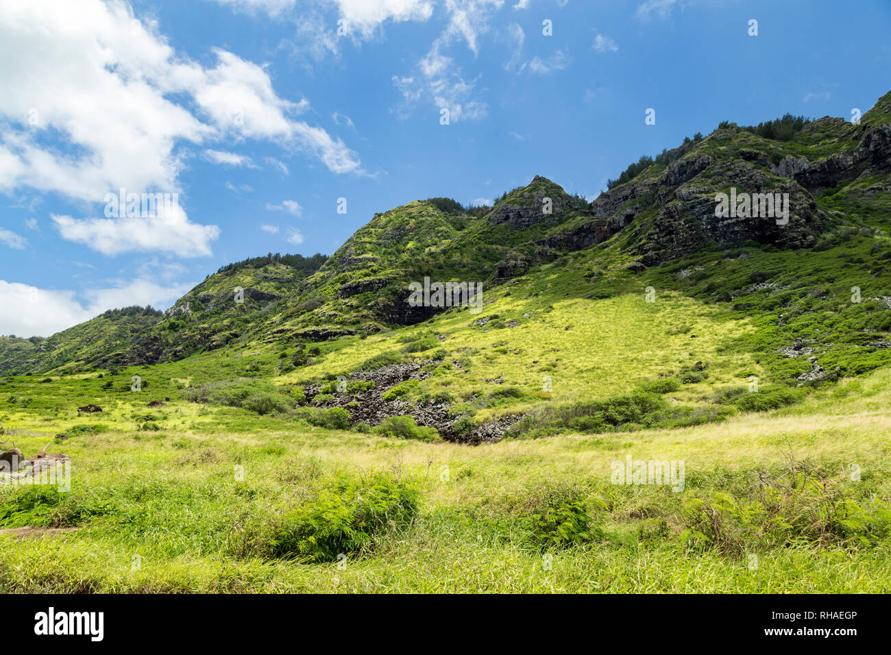 Verde e lussureggiante vegetazione delle colline di Oahu, Hawaii Foto Stock