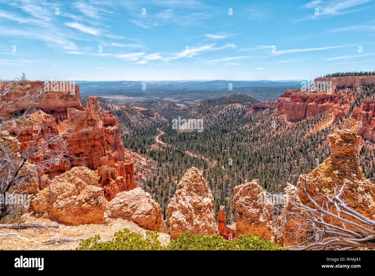Parco Nazionale di Bryce Canyon Foto Stock