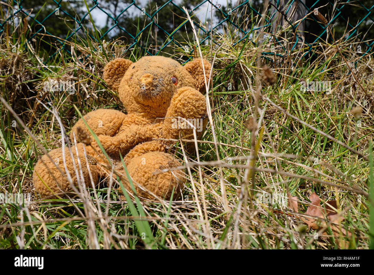 Abbandonato farcite recare sul lato della strada, nell'erba alta contro la recinzione. Orso ha fango sul viso. Foto Stock