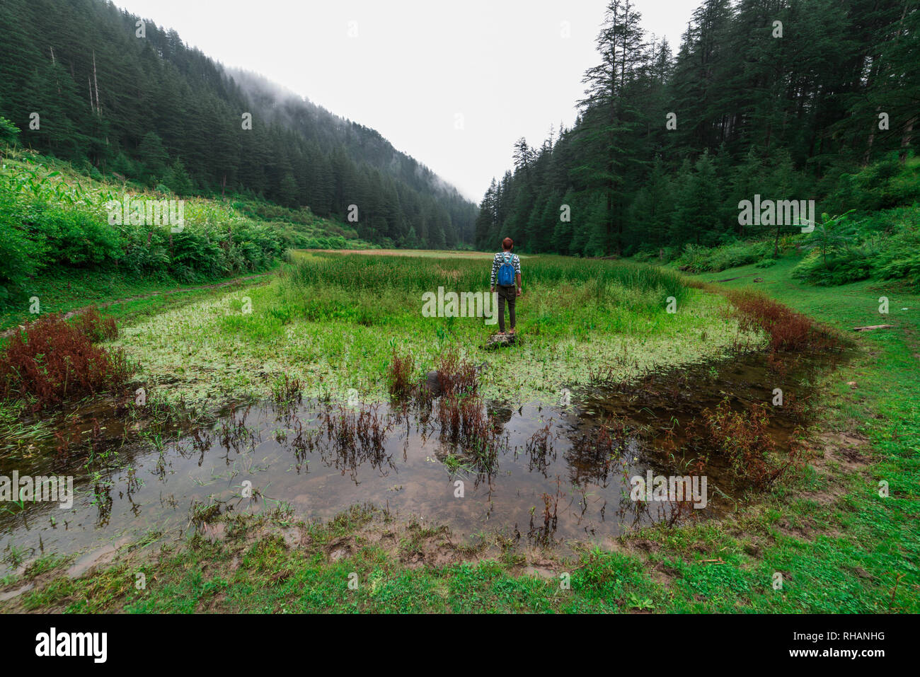 Kullu, Himachal Pradesh, India - 02 Settembre 2018 : viaggiatore in erba coperto punrik rishi lago circondato da alberi deodar in Himalaya, Sainj Valley Foto Stock