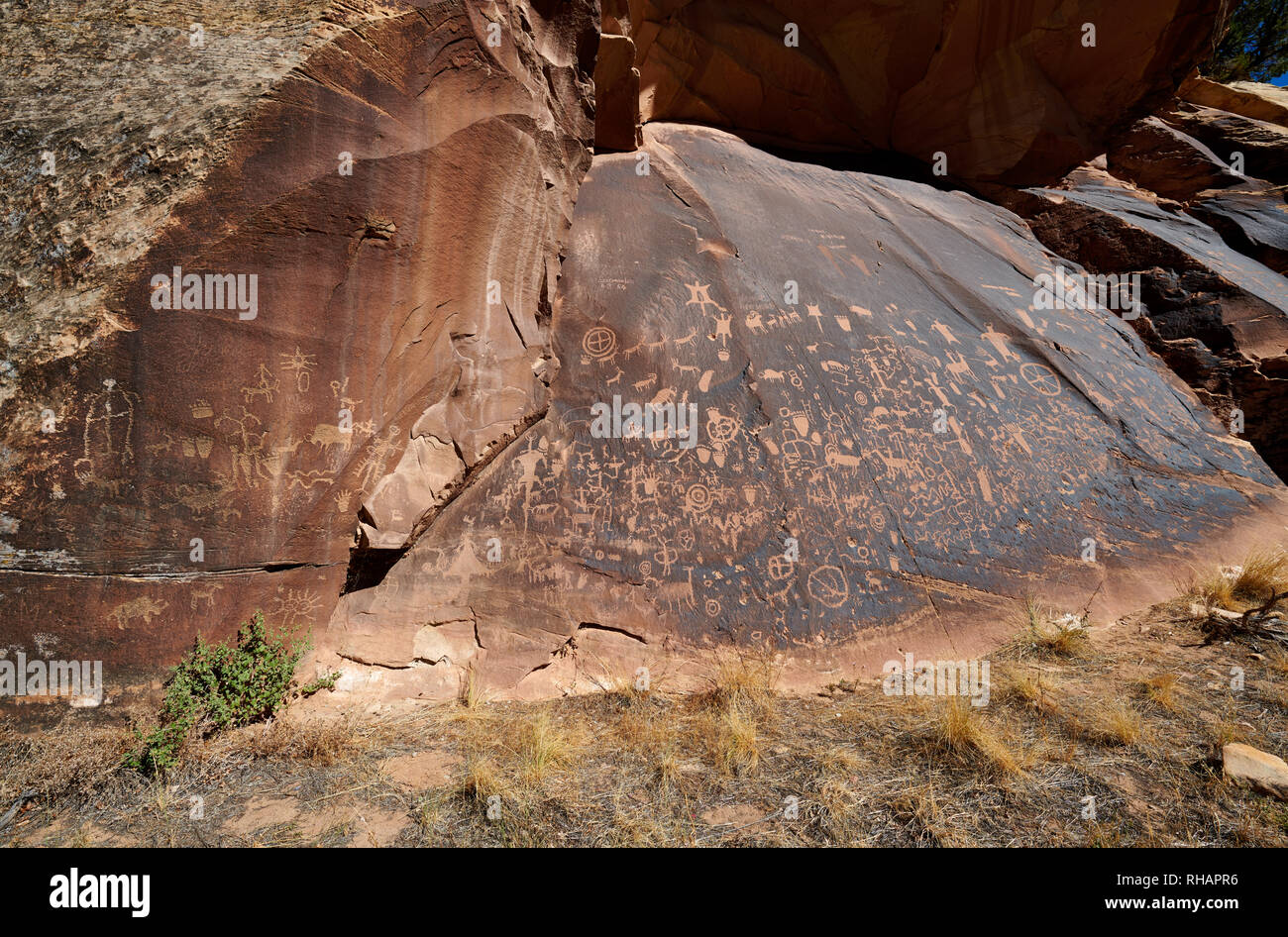 Newspaper Rock membro Monumento storico, Utah, Stati Uniti d'America, America del Nord Foto Stock