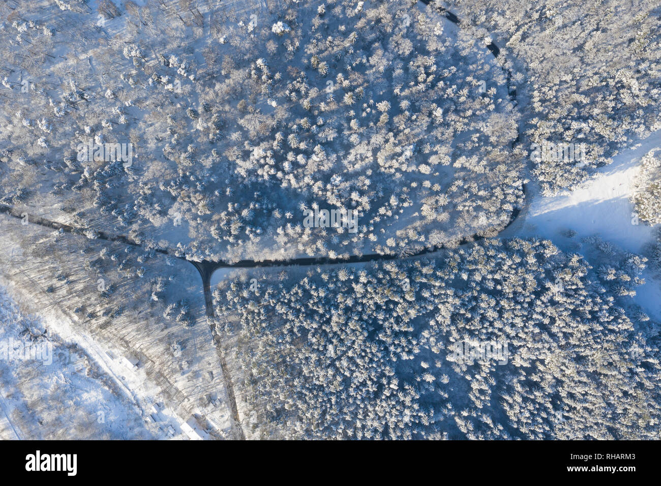 Vista dall'alto in basso della foresta in inverno. Paesaggio invernale nella foresta. Terre d'inverno. Foto Stock