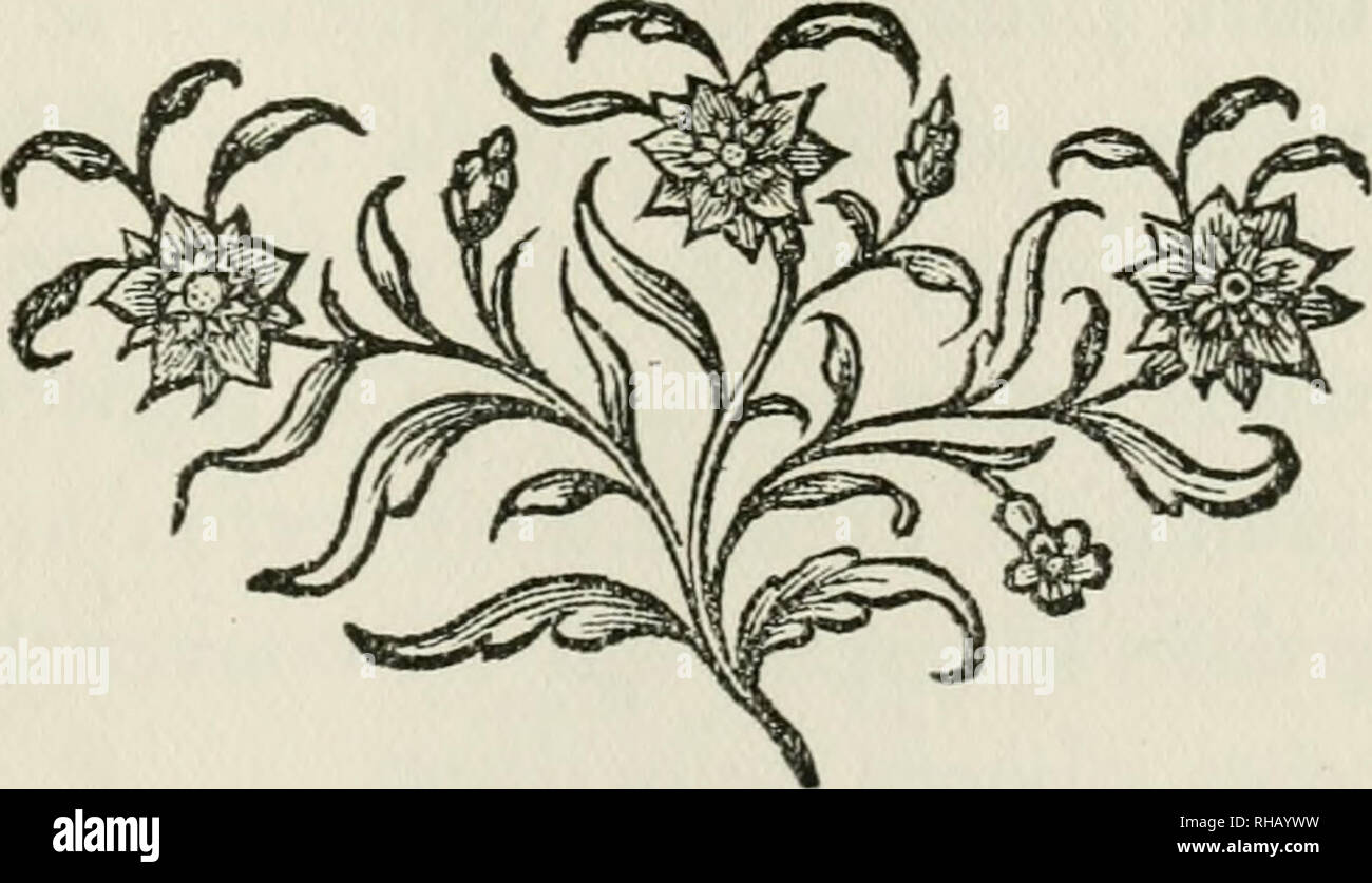 . Botanica neglecta: William giovane, Jr. (di Filadelfia) "Botaniste de Pensylvanie" e il suo lungo dimenticato libro;. Catalogo d'ARBRES, ARBUSTES ET PLANTES HERBACÉES DAMERIQUE, Par M. YONG, Botanifie de Penfylvams. Catalogo Ce eft divifé en deux parti -, la pre- mière contient les Plantes que M. Yong peut fournir aux Européens, foit en graines, foit en piante. La féconde contient celles qu'on ne pourra fe pro- curer, qu'en les demandant dans d'autres province.. A PARIGI, De l'Imprimerie de la V.e H é r i s s a n t , Imprimeur du Cabinet du ROI, Maifon &AMP; Bâtimens de SA MAJESTÉ. Foto Stock