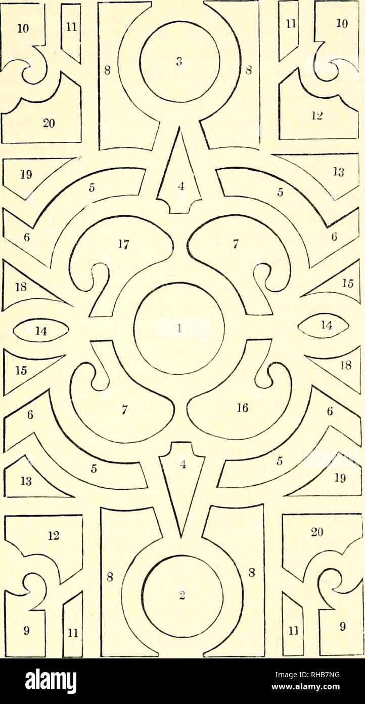 . Il libro del giardino. Il giardinaggio. 612 Fiore geometrico-giardini. dei letti e il contrasto dei colori è la cosa principale da considerare ; successo- Fig. 815.. sione delle piante è anche indispensabile; la propagazione per talea, semi, &c e tenere in riserva a girare fuori quando un letto è pronto a ricevere i loro." Le piante raccomandato dal signor Brown per questo gar- den sono come segue :- piante che occupano i letti in primavera.- 1, giacinti, di sorta ; 2 Tulipani di sorta; 3, narcisi, di sorta; 4, viole, di sorta, standard di rose ; 5, crochi, di sorta; 6, viole, di sorta ; 7, erbaceo Foto Stock