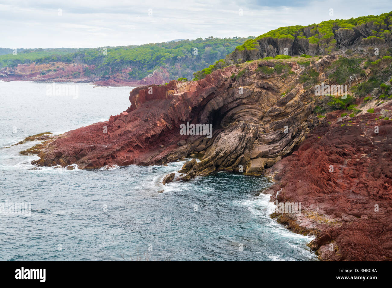 Marine Red Rocks ripiegato in Ben Boyd National Park, NSW, Australia Foto Stock