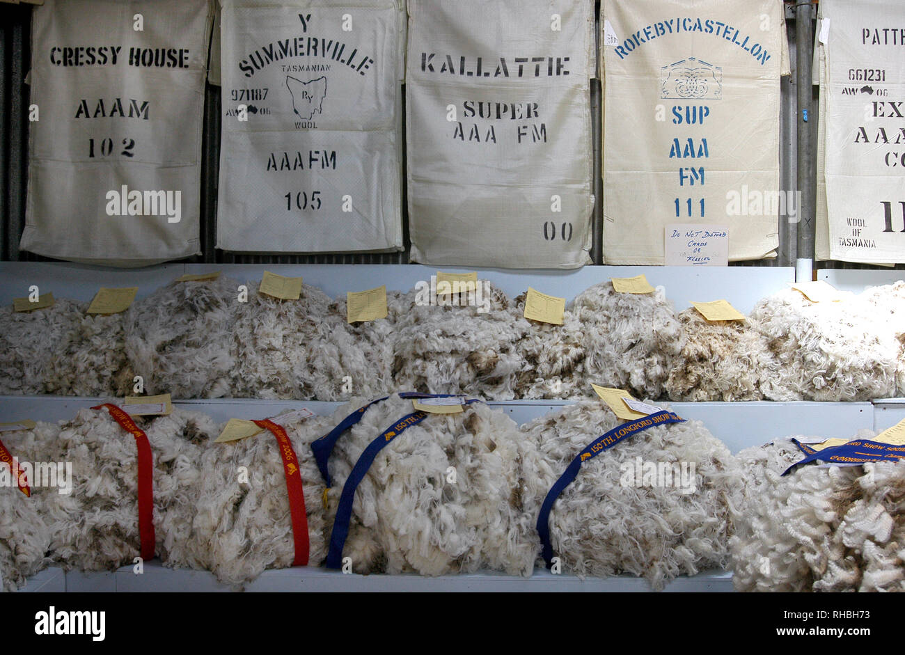 Classificazione di lana e il vello DELLA CONCORRENZA A LONGFORD una mostra per un giorno, Longford, Tasmania, Australia Foto Stock