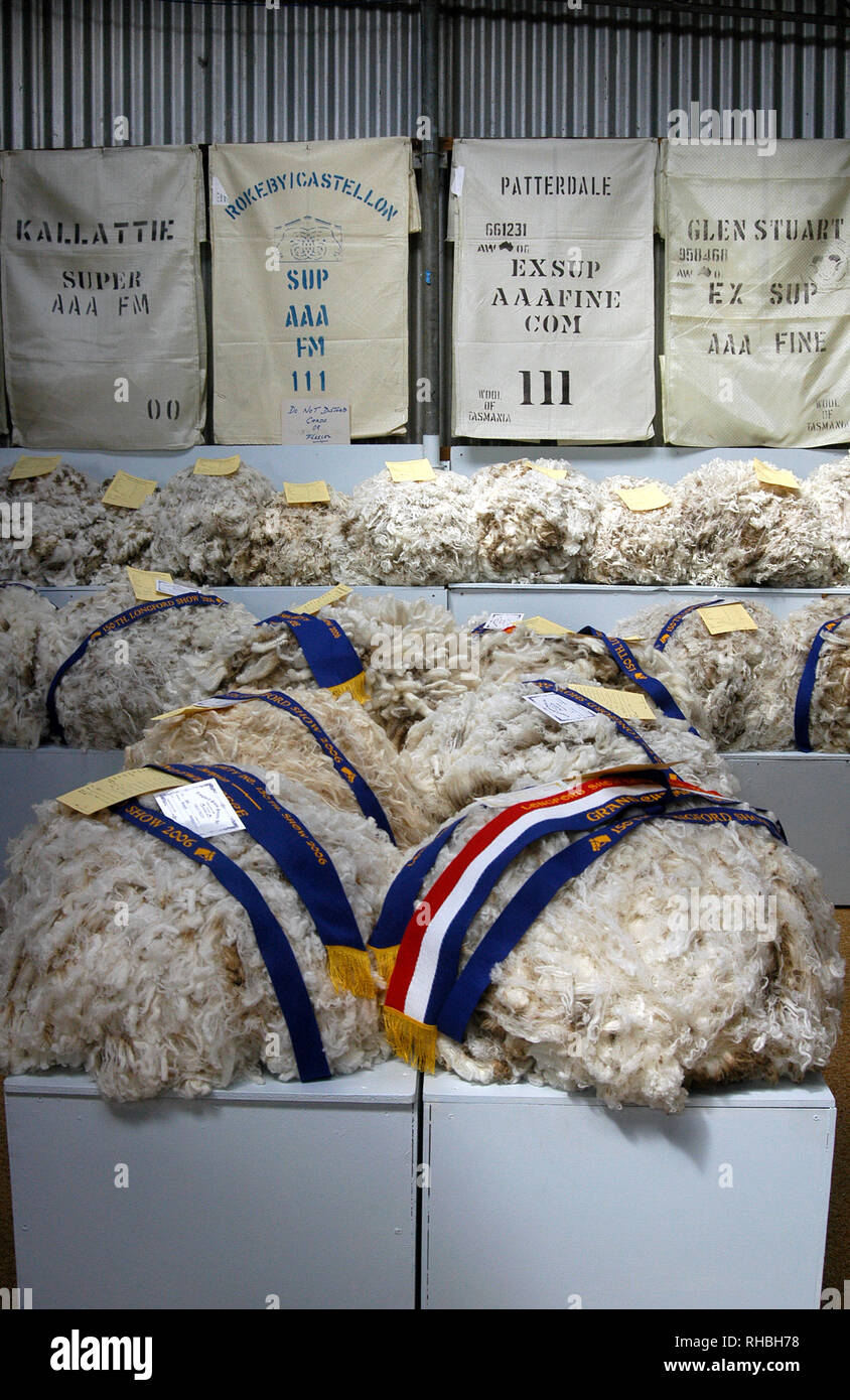 Classificazione di lana e il vello DELLA CONCORRENZA A LONGFORD una mostra per un giorno, Longford, Tasmania, Australia Foto Stock