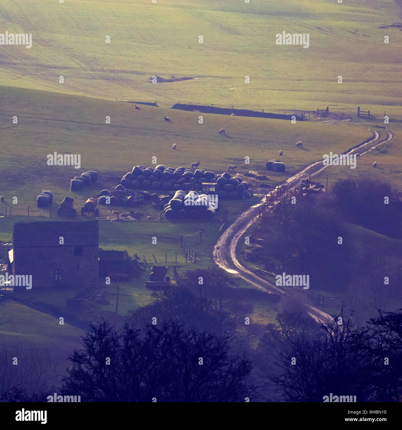 Arrotolate le balle di fieno accatastate in campo con via avvolgimento attraverso foto Foto Stock