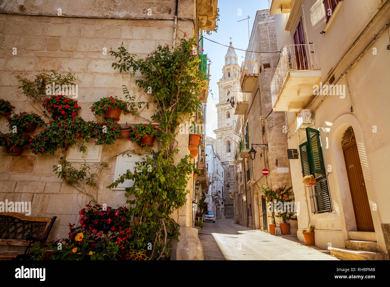 Scenic fiori verdi sull'angolo di una strada e la torre della cattedrale di Monopoli, Italia Foto Stock