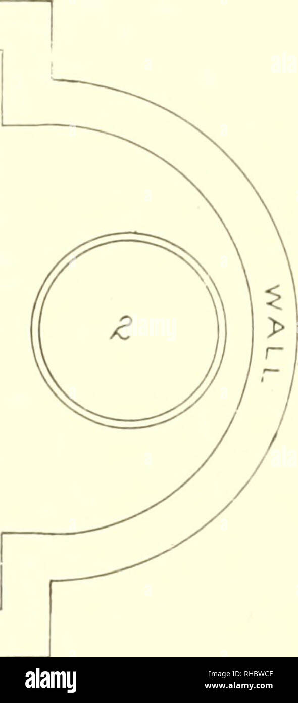 . Il libro di acqua il giardinaggio;. Le piante acquatiche. [Dal vecchio catalogo]. Un piccolo giglio di acqua bacino per il prato è suggerito che il n. 1 te piantati con Nelumbium speciosum ; n. 2 con Nelumbium Pekinense rubrum ; n. 3 con ninfei Gladstoniana ; n. 4 con ninfei Zanzibarensis ; n. 5 con Nymphaea Marliacea chromatella ; n. 6 con Nymphaea Marliacea rosea ; n. 7 con ninfei sig.ra C. W. Ward ; n. 8 con ninfei Gloriosa di cerchi e quadrati rappresentano la metà di barili e scatole in cui far crescere le piante se il costo di costruzione di un bacino di cemento supera la quantità che si desidera spendere molto g Foto Stock