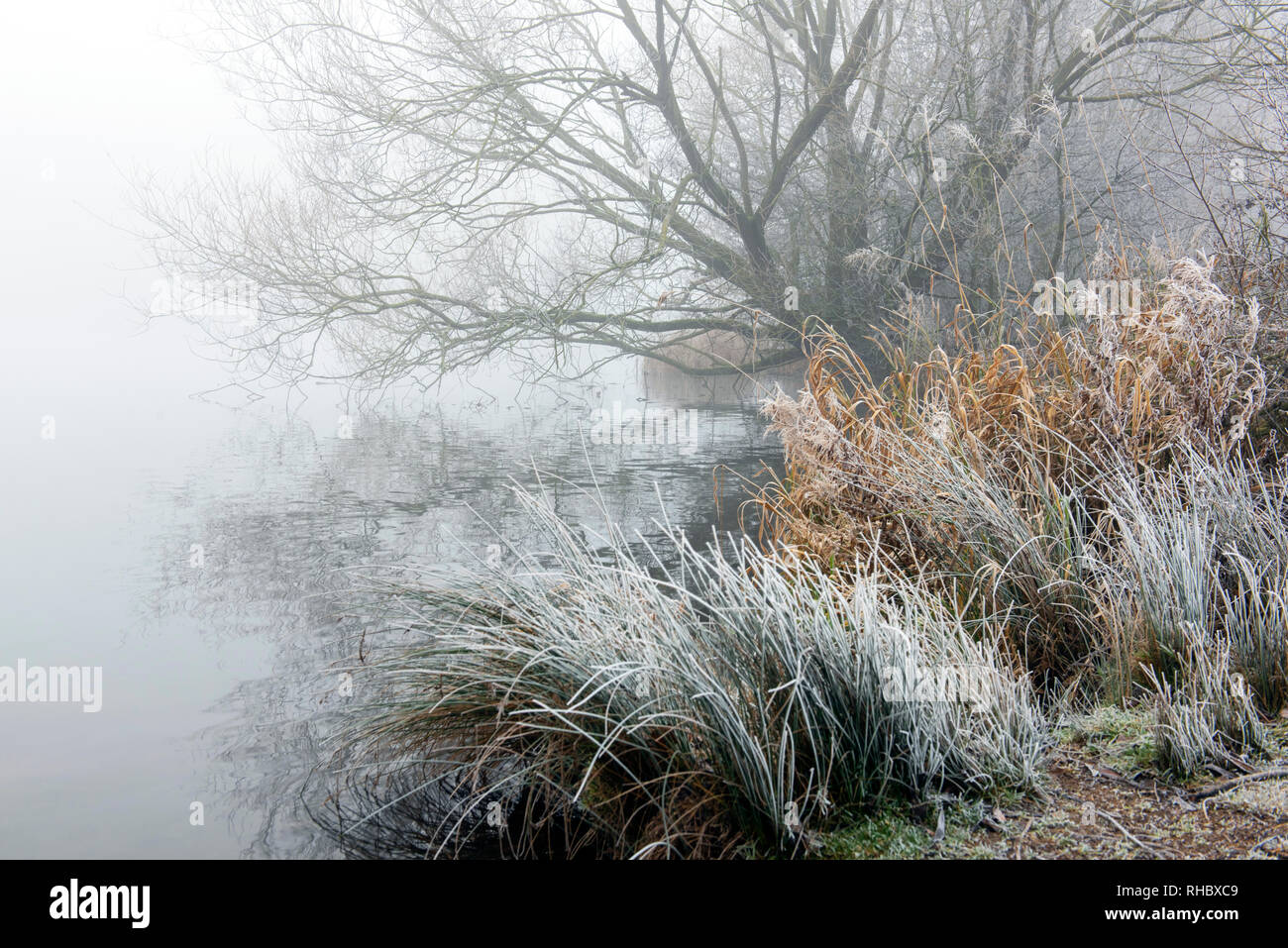 Un terribilmente freddo inverno mattina a Colwick Park di NOTTINGHAM, NOTTINGHAMSHIRE REGNO UNITO Inghilterra Foto Stock