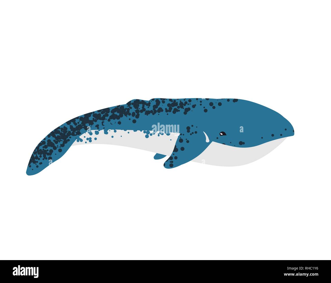 Illustrazione Vettoriale di balena. Illustrazione Vettoriale di balena. Illustrazione Vettoriale