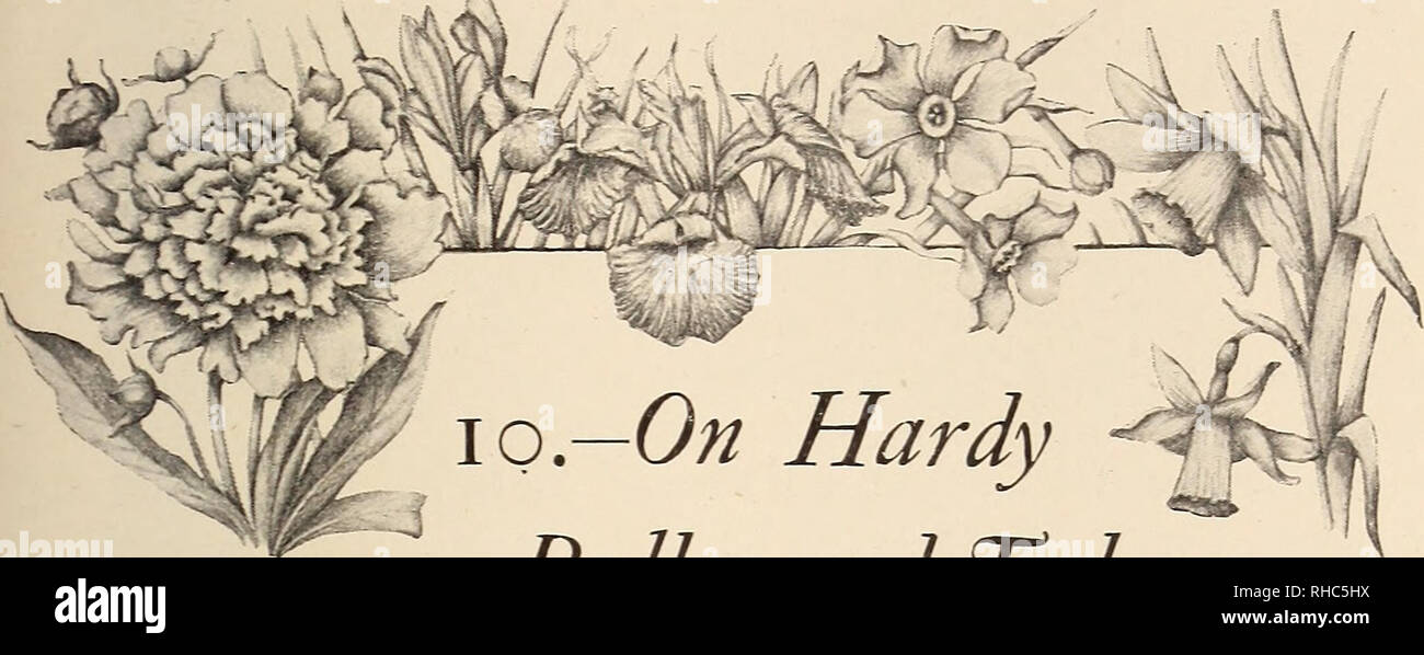 . Il libro del giardinaggio; un manuale di orticoltura. ; Giardinaggio Floricoltura. Da W. D. Drury, bulbi e tuberi. Prima di salutare noi nella molla e l'ultimo a hnger con noi che per i nostri giardini la luminosità anche in profondità di inverno, c'è da meravigliarsi che i bulbi e tuberi, come ordinariamente inteso, appello così fortemente di hardy gli amanti di pianta ? Infatti, visti i numerosi precedenti che hanno su i giardinieri attenzione, la meraviglia piuttosto sarebbe se non hanno un tale attesa. Fin dai primi tempi le lampadine, comunque, sono stati visti con favore, come testimonianza della gara, Foto Stock