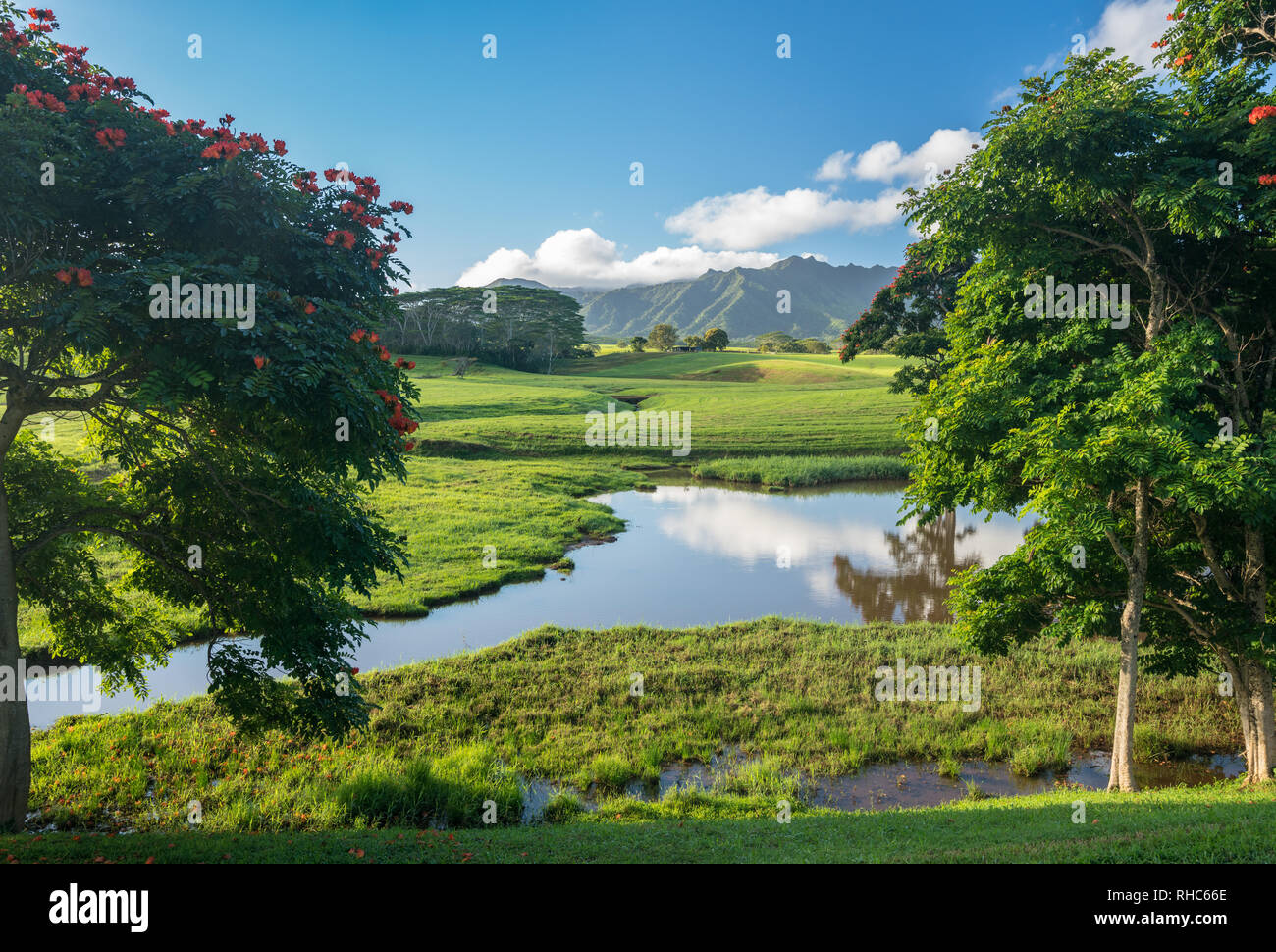Suggestivo paesaggio di Jurassic giardino Isola di Kauai Foto Stock