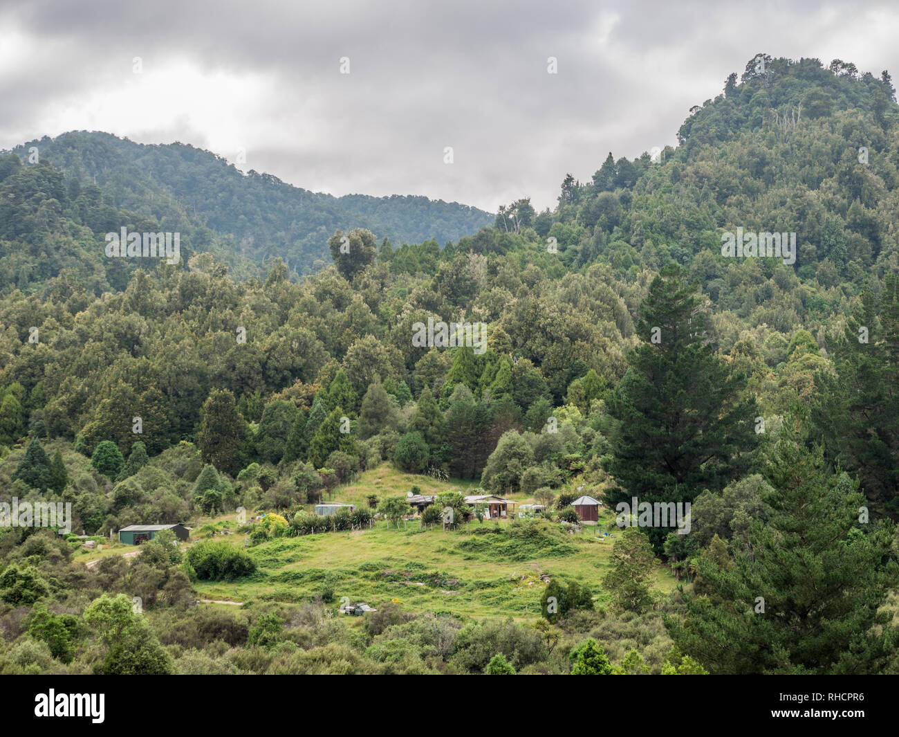 Villaggio Maori nella radura, Te Wai-iti, Te Urewera, Isola del nord, Nuova Zelanda. Foto Stock