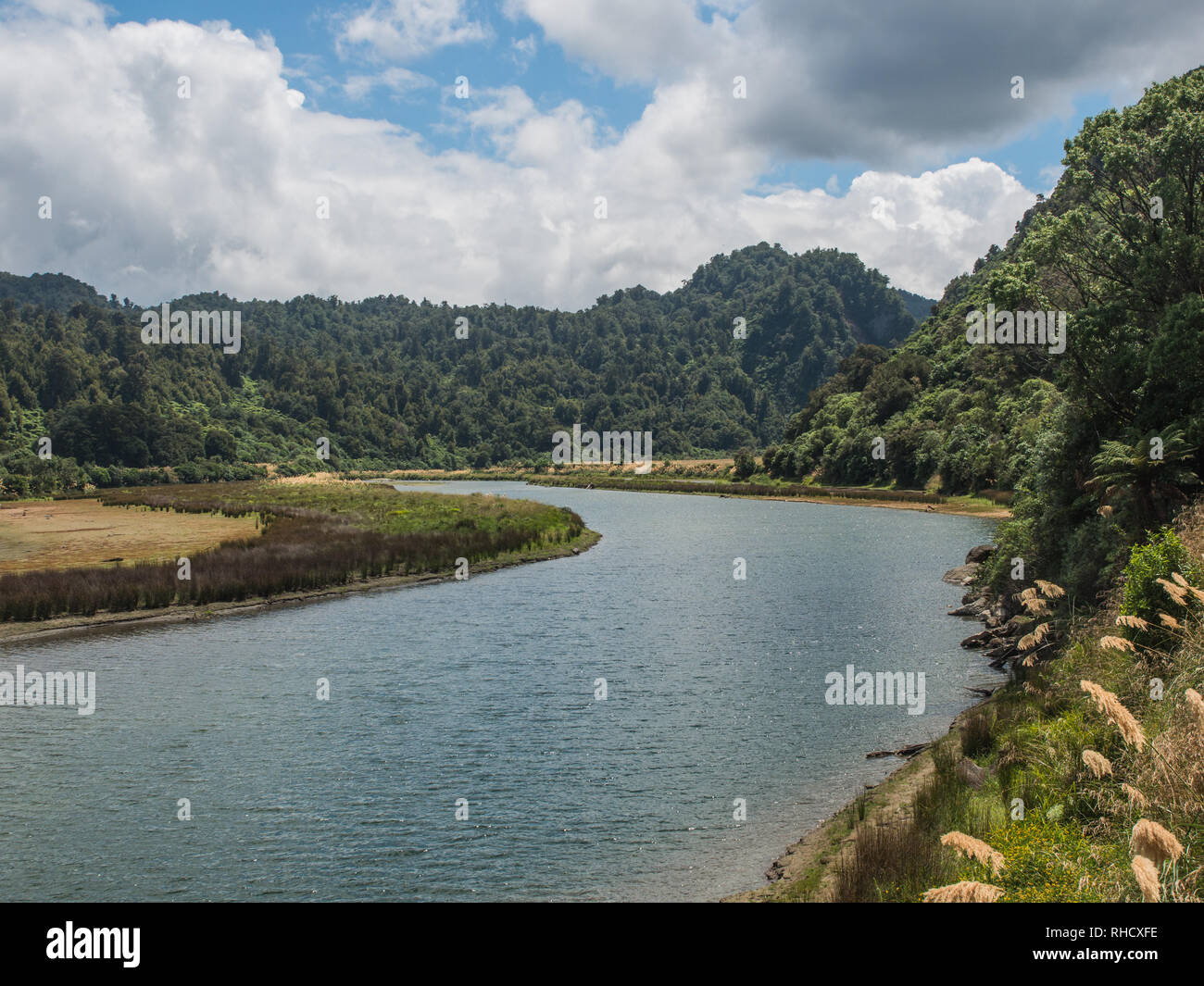 Flusso Hopuruahine, inferiore arriva vicino al lago Waikaremoana, Te Urewera National Park, North Island, Nuova Zelanda Foto Stock