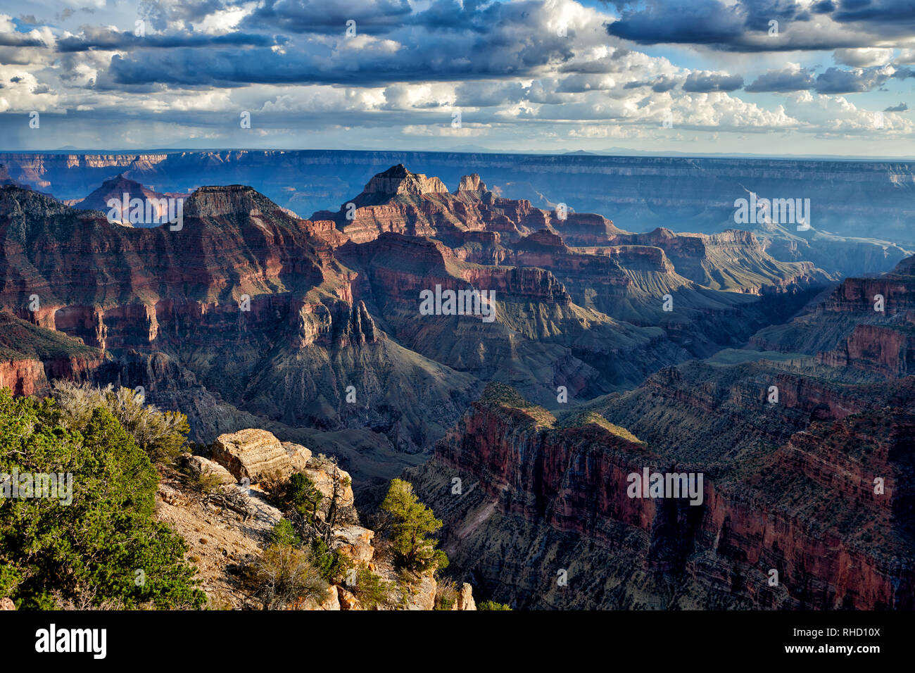 Il Grand Canyon, Bright Angel Point, North Rim, Arizona, USA, America del Nord Foto Stock