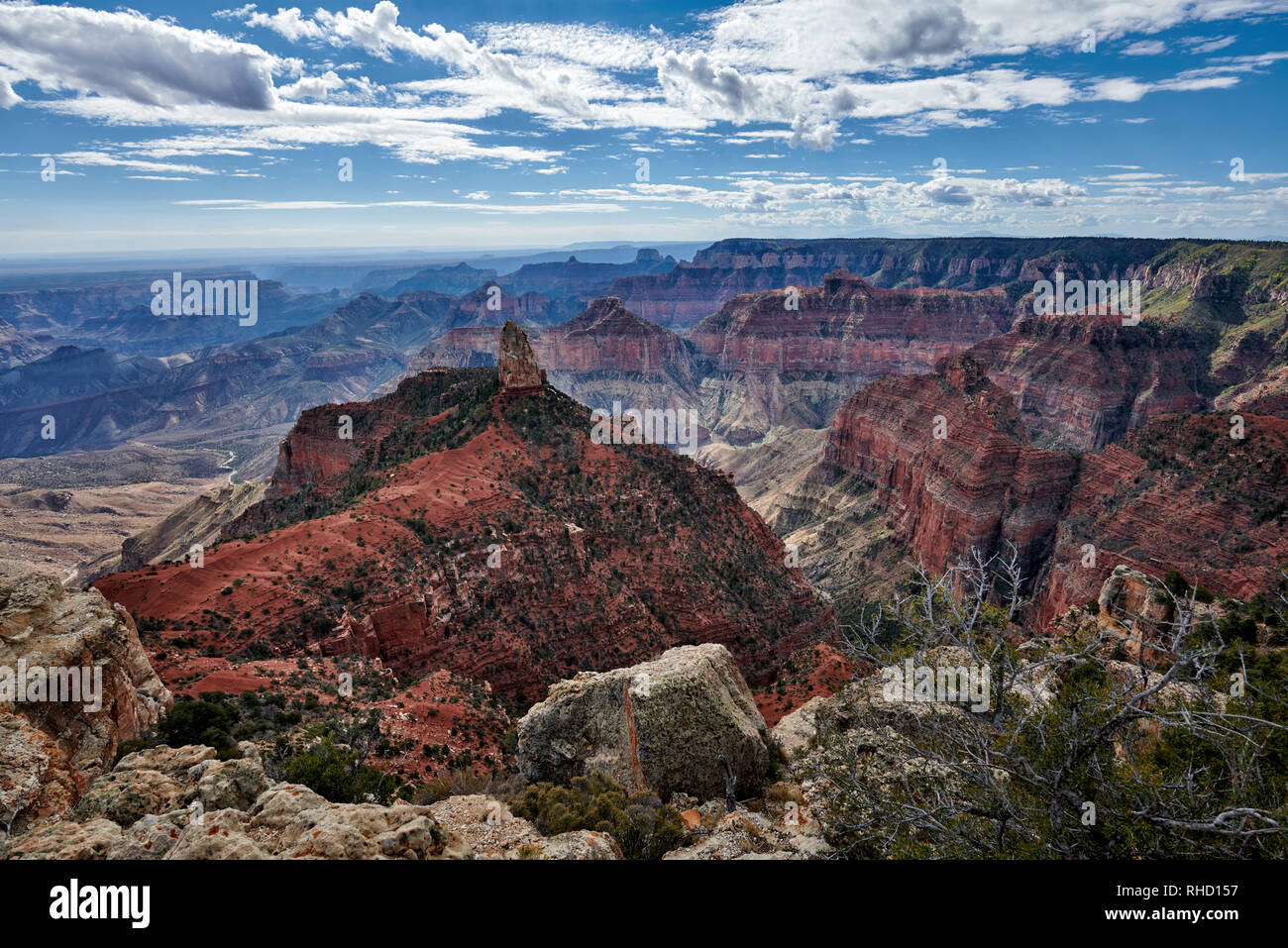 Il Grand Canyon, il punto di vista imperiale punto, North Rim, Arizona, USA, America del Nord Foto Stock