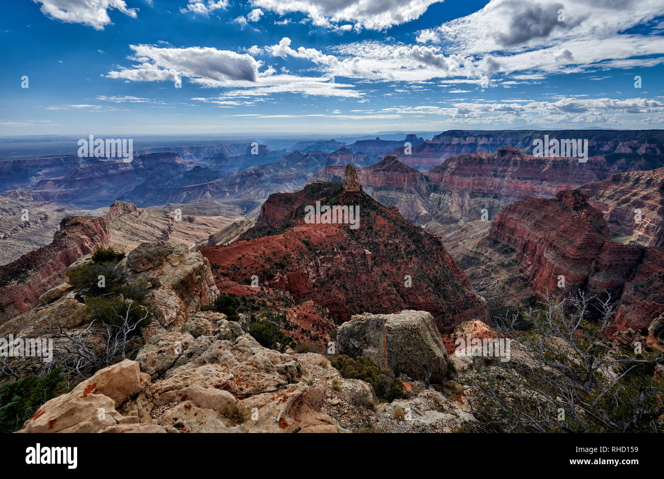 Il Grand Canyon, il punto di vista imperiale punto, North Rim, Arizona, USA, America del Nord Foto Stock