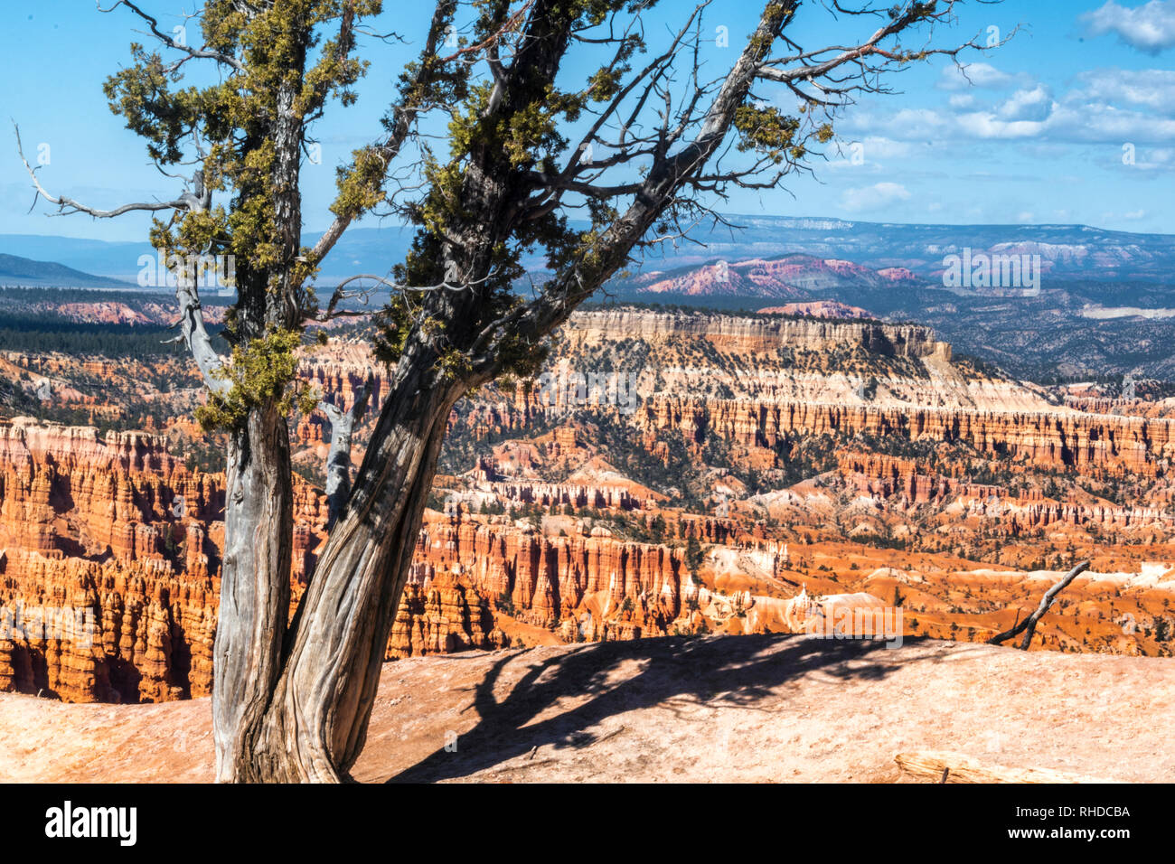 Parco Nazionale di Bryce Canyon Foto Stock