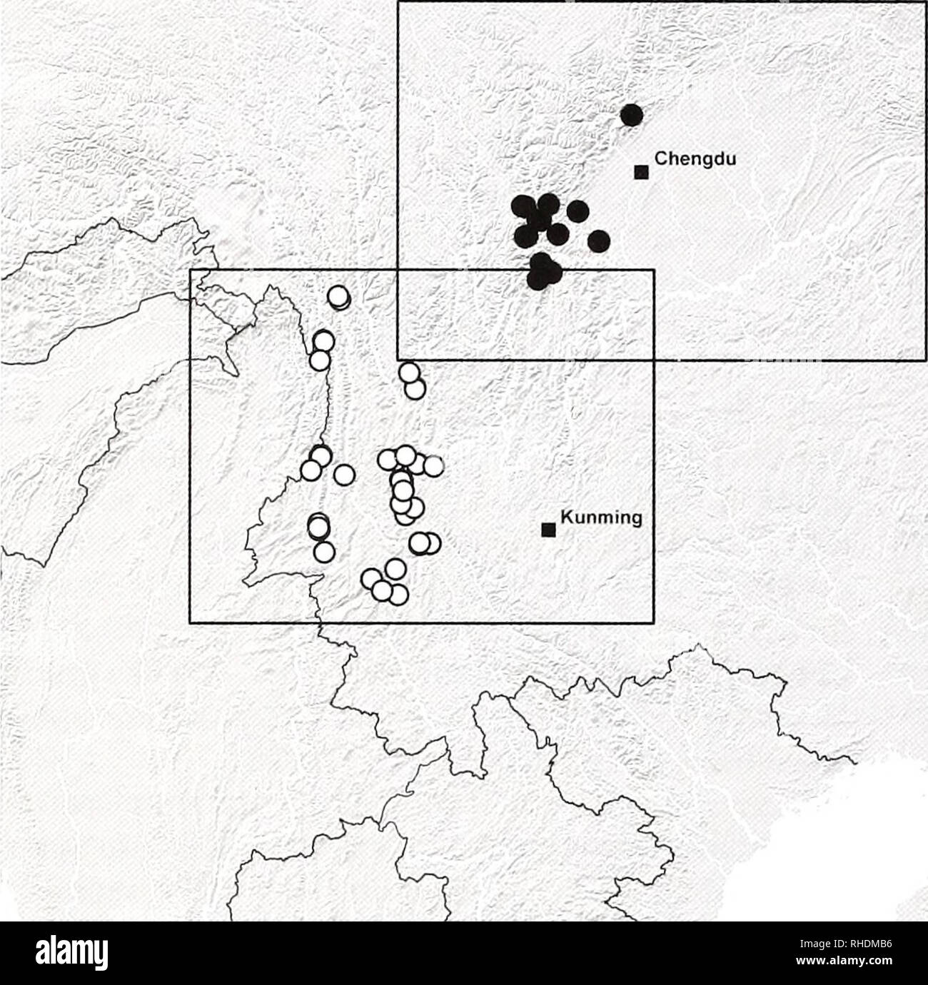 . Bonn bollettino zoologico. Zoologia. 128 Volker Assing. Fig. 1. Riunite i record esaminati di Nazeris dal cinese dello Zhejiang Province (triangoli), Sichuan (cerchi pieni), e- Yun Nan (cerchi aperti). I telai illustrano i limiti delle mappe di distribuzione per le singole specie (FIGURE 28-29, 88-90). La stessa regione, ad esempio per il genere Othius Stephens, 1829 (Staphylinidae: Othiini) (Assing 2003) o per alcuni Lep- idoptera Lattin (1967). Nazeris simum e N. connttus della N. tnincatiis gruppo (vedere sopra) rappresentano un altro esempio di una coppia di strettamente correlati specie Nazeris oc- curri Foto Stock