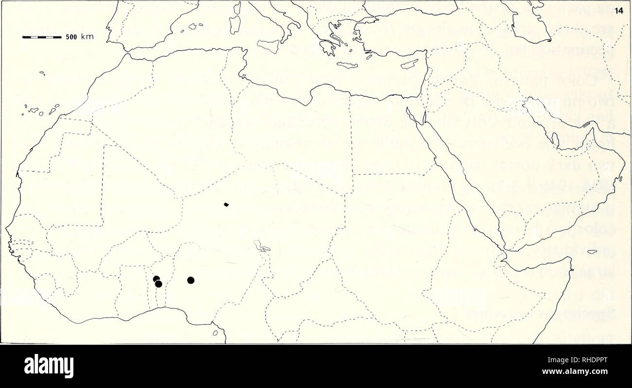 . Bonner zoologische Monographien. Zoologia. 74. Mappa 14. Distribuzione di A. boueti. la coda. Basso numero di pori femorali. Quasi inesistente pectination del quarto dito del piede. Scala nasale non denticulate. A breve le dita dei piedi. La distribuzione una volta descritto da Agouagou, Dahomey in quello che è oggi il Benin, una boueti non è stata registrata. Mi è stato in grado di esaminare il materiale aggiuntivo da Bassila, Benin e da Lashambi, a nord-ovest di Wendri in Nigeria. Questi nuovi dati ci portano a considerare una distribuzione più ampia in zone aride del sud del Sahara. La distribuzione allopatric della specie costituente il gruppo erythrurus su Foto Stock