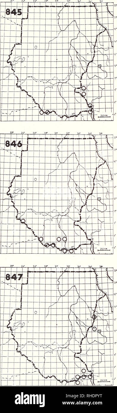 . Bonner zoologische Monographien. Zoologia. 260. 845 Tessitore dagli occhiali (1336) Ploceus nigricollis nigricollis R? LM NBR raro bosco e margini di boschi Commento: registrati solo da Woodman (1938) e M. Traylor. La sottospecie mela- noxanthus è previsto lungo il confine etiope. 846 Spectacled Weaver (1337) Ploceus ocularis crocatus LM? AM? NBR raro bosco migliore e margini di boschi a bassa al- titude Commento: registrati solo nella stagione secca 847 tessitore di Castagno (1327) Ploceus rubiginosus rubiginosus LM? AM? (11-12) NBR raro bussola a secco e bosco Commento: eventualmente solo un non-allevamento Foto Stock