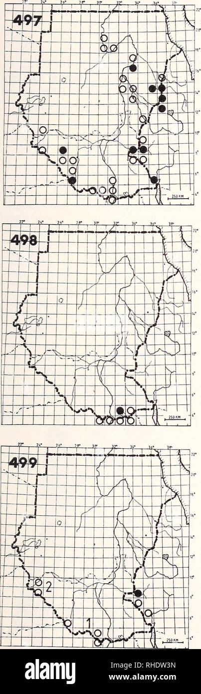 . Bonner zoologische Monographien. Zoologia. * 163. 497 filo-tailed Swallow (1061) Hirundo smithii smithii R? BR 9, 11, 2-4 insolito locale e quasi sempre intorno a fiumi 498 bianco-guidato rough-ALA (1080) Psalidoprocne albiceps albiceps R LM? BR 8, 9 comuni di foreste e dei bordi fino a 3000m 499 ruvida nera-ALA (1076/1077) Psalidoprocne pristoptera ) P. p. oleaginea R? LM NBR raro margini di boschi e bosco meglio 2) P. p. chalybea? R? LM? NBR raro bosco meglio, le foreste a galleria 500 Nastrare Martin (1070) nessuna mappa Riparia cincta erlangeri/suahelica LM? AM? (5-7) NBR raro bussola aperta Foto Stock