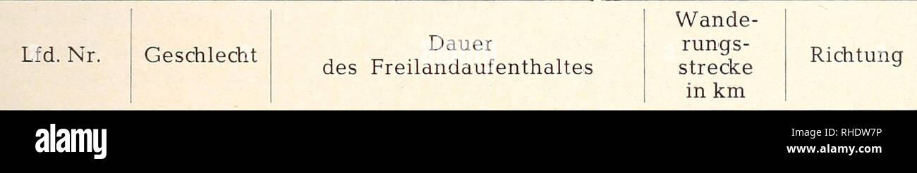 . Bonner zoologische Monographien. Zoologia. 107 Lfd. No. ! Geschlecht Dauer des Freilandaufenthaltes Wande- rung s- strecke in km Richtung ho Harz 59 Weserbergland 80 86 Eifel 104 110 113 114 123 Bayern 189 190 192 2 6 9 9 $? 9 (5? 6 9 9 3 J ca. 1 M 7 M 3 M 2 m ca. 3 M I ? 20 T 3 T 27 T ca. 14 T ca. 25 T mindest, mehrere Monate mehrere Monate ca. 3 M 1,5 13 0 0 5 0 15 0 0 0 ? NE SW N Tabelle 22: Ortsbewegungen ausgesetzter Uhus unbekannten Altera. Richtung Landesbergen 41 I 42 i Harz 66 ho Bayern ca. 1 M 11 T 13 T 10 140 ? 1 J 2 M 13 T 36 142 9 3 M 1 T 20 143 2 18 T 50 145 ? 15 147 4 M 0 150 5 Foto Stock