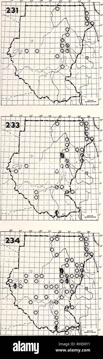 . Bonner zoologische Monographien. Zoologia. 85. 231 Dunlin (304) Calidris alpina alpina PM (9-4) W comune litorale e habitat in zone umide Commento: regolarmente di svernamento a sud di 13°N 232 nodo (307) Nessuna mappa Calidris canutus canutus (PM) (3, 7) A S vagrant mudbanks lungo grandi fiumi Commento: solo due volte registrato da Khar- toum 15/32 (Hogg 1984, A. Pettet) 233 Curlew Sandpiper (303) Calidris ferruginea PM (8-5) A W S comune su grandi fiumi fangosi e litorale habi- tatistiche commento: molti primo anno gli uccelli oversum- mer a Khartoum e il Mare Rosso; nel Darfur solo sul passaggio di autunno 234 Little stint (305) Cali Foto Stock