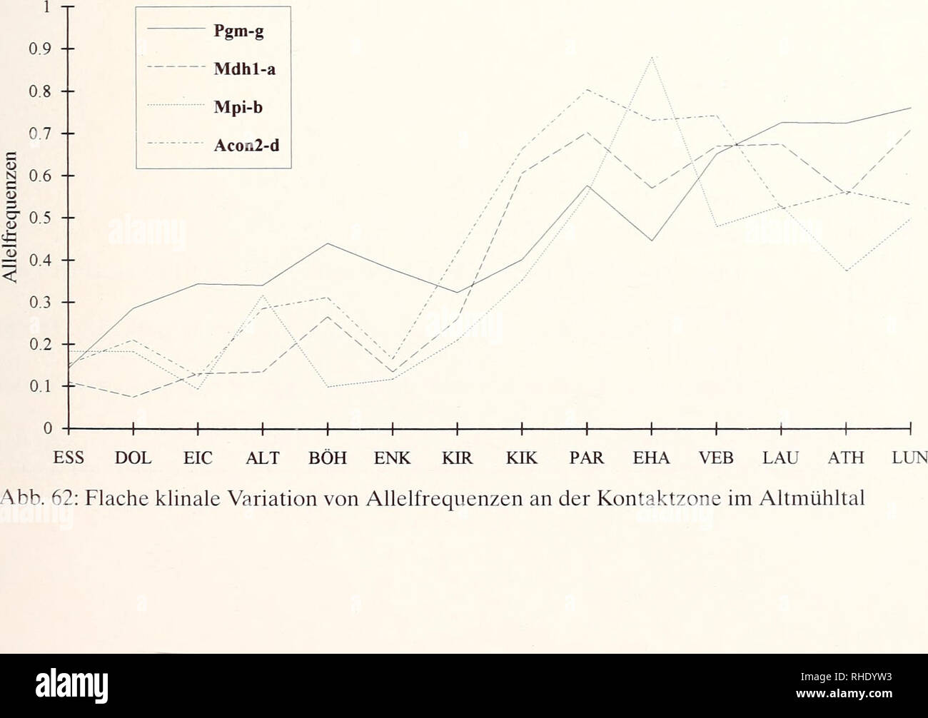 . Bonner zoologische Monographien. Zoologia. ESS DOL EIC ALT BÖH ENK KIR KIK PAR EHA VEB LAU ATH LUN Abb. 61: Stufenkline diagnostischer Allele (Z. angelicae) bei einem west-östlichen Transekt durch die Kontaktzone im Altmühltal gehend allochronen Populationen KIK (Z. angelicae) und KIR fZ. hippocre- pidis). Abb.60 und 61 zeigen steile, koinzidierende Stufenkline von Allelen diagnostischen und Markerallelen für Z. hippocrepiciis (abb.60) und solche von Z. angelicae (abb.61). Abb.62 und 63 belegen flache, unregelmäßige Khne der Allelfrequenzen. Die folgenden beiden Schema (abb.64 und 65) zeig Foto Stock