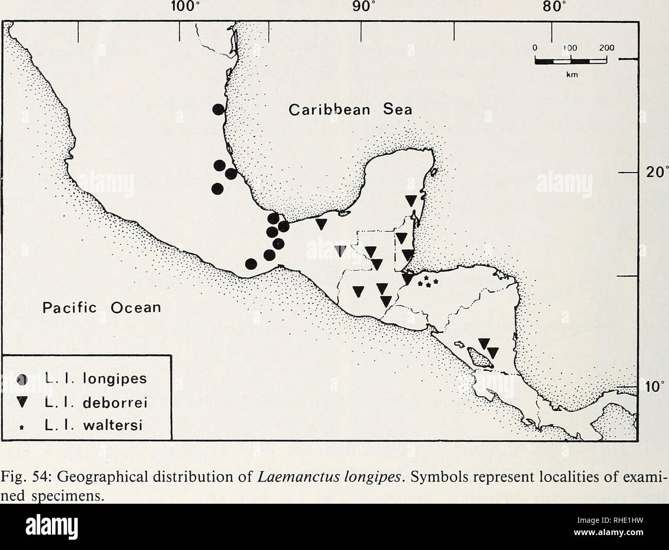 A Volte Delineato Immagini E Fotos Stock Alamy