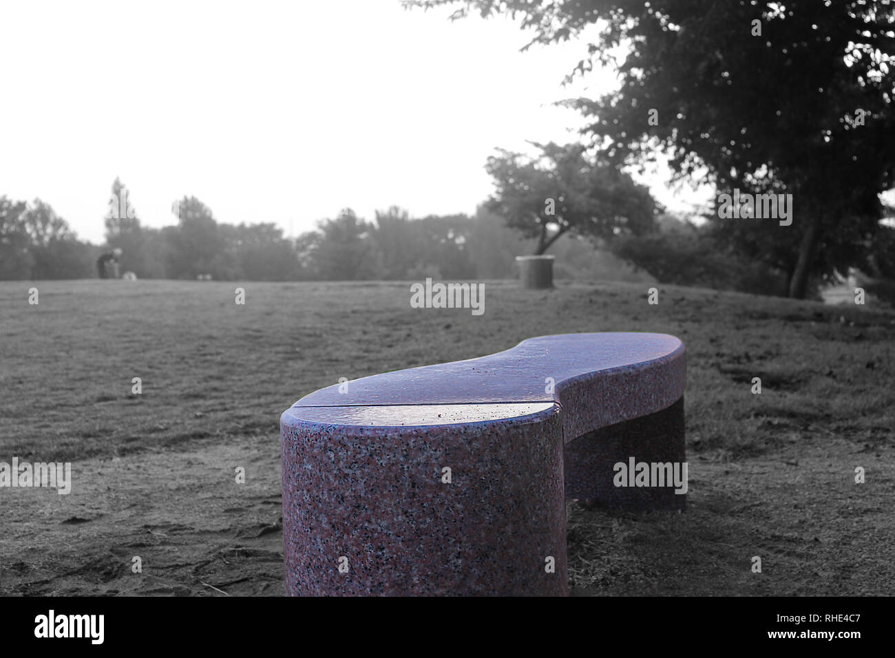 Lonely una panchina nel parco in un freddo e nuvoloso al mattino. Foto Stock