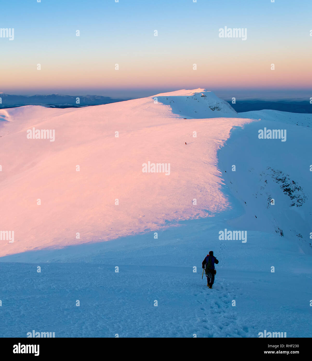 Uomo che cammina su un crinale e a sinistra un sentiero in mezzo alla neve. Crepuscolo. Luce rosa. Cielo chiaro. Ombre blu. Escursioni d inverno e passeggiate nelle montagne dei Carpazi. Regno Unito Foto Stock
