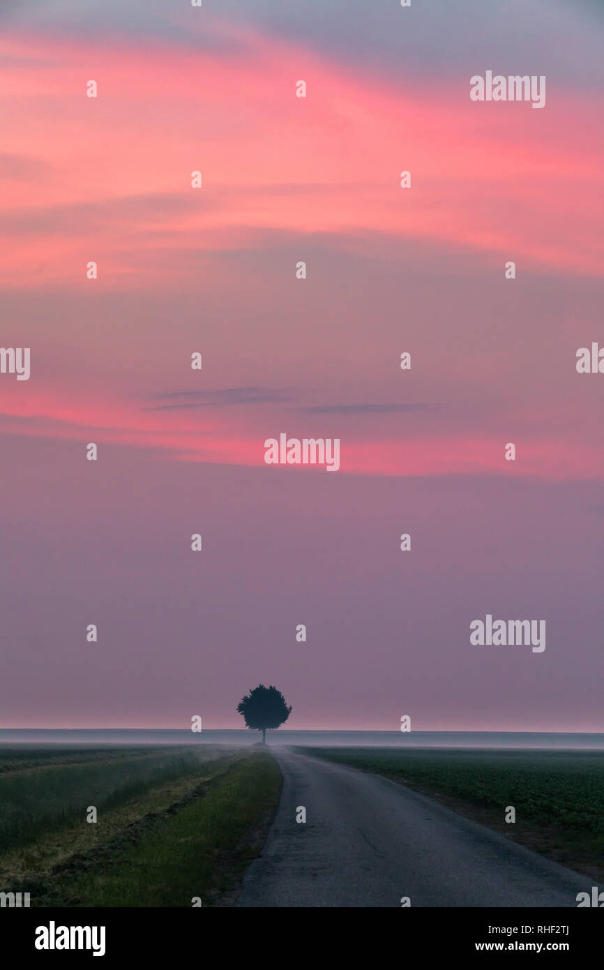 Sunrise nel Johannes Kerkhovenpolder nella parte settentrionale della provincia di Groningen, Paesi Bassi. Foto Stock