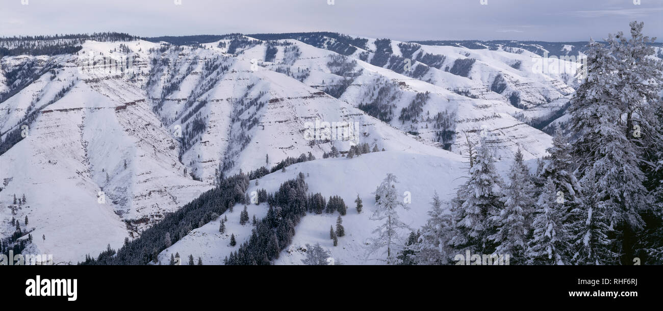 Stati Uniti d'America, Oregon, Wallowa-Whitman National Forest, inverno vista da Giuseppe Canyon Overlook verso la coperta di neve Giuseppe Canyon. Foto Stock