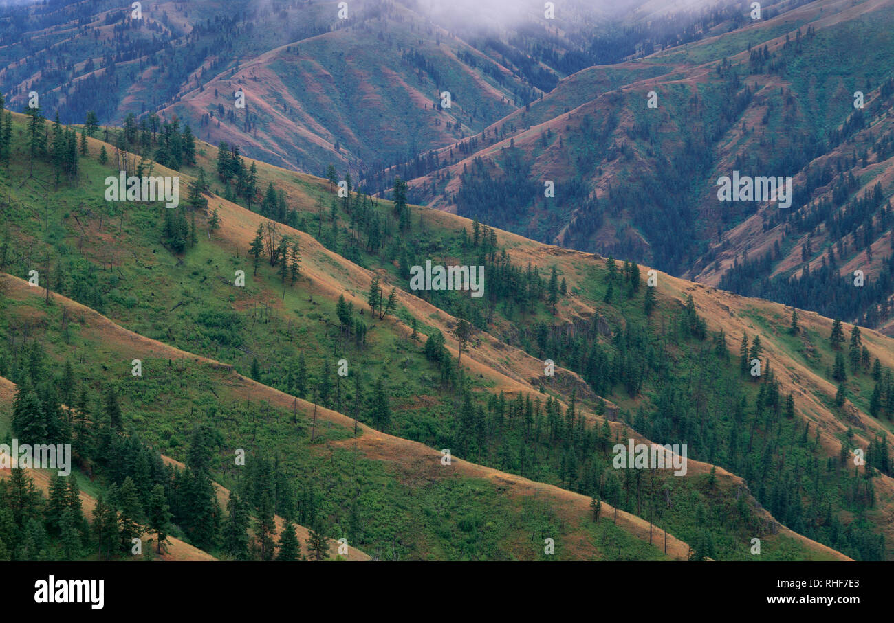 Stati Uniti d'America, Oregon, Wallowa-Whitman National Forest, Vista Ovest, dal punto di vista remota, rivela le creste e le valli di Giuseppe Canyon dopo un acquazzone. Foto Stock