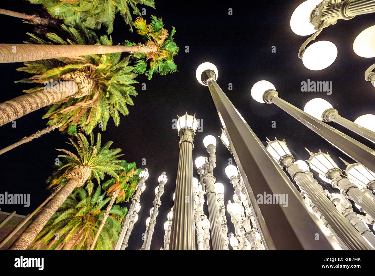 Notte scena urbana. Vista dal basso di palme e lampade stradali nel paesaggio urbano di notte cielo scuro. Famoso punto di riferimento, LACMA di Los Angeles, California, Stati Uniti d'America Foto Stock